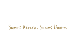 Ébano Viñedos y Bodegas